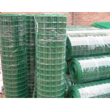 Low Carbon Steel Holland Wire Mesh mit Fabrik